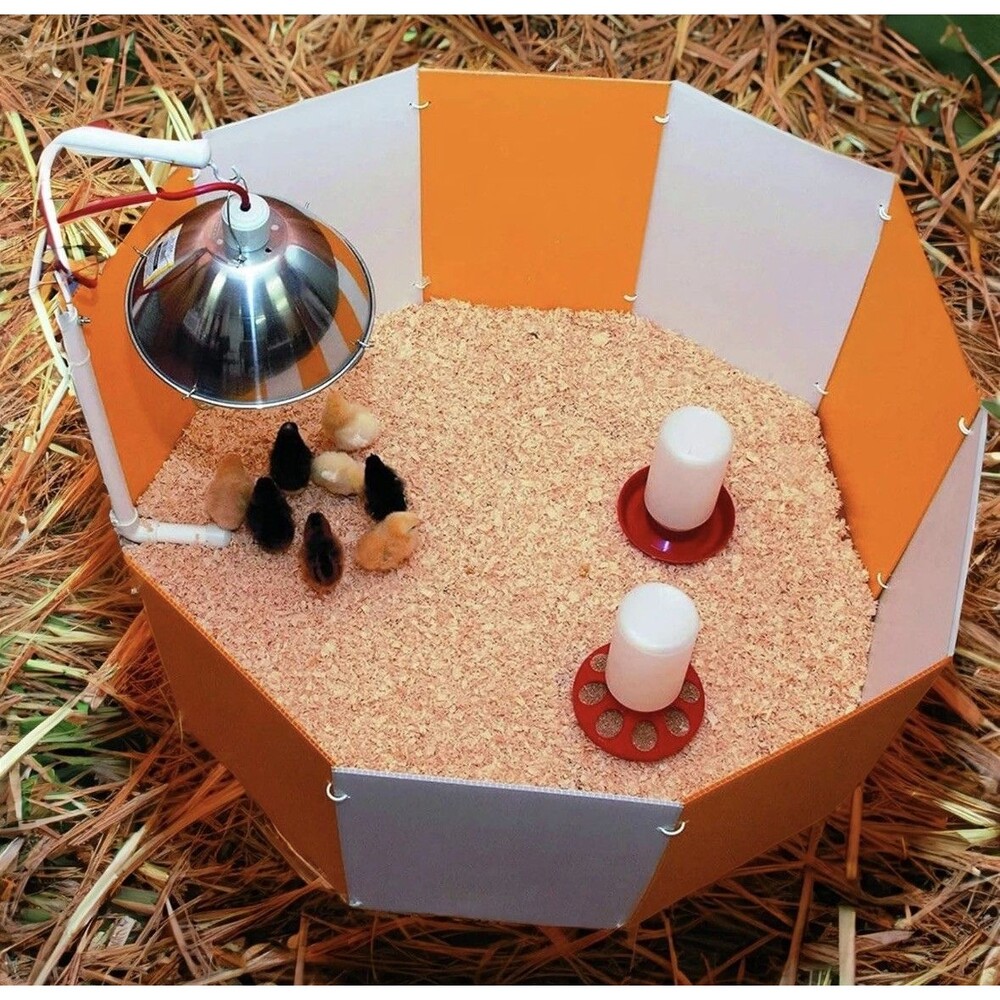 Farm Innovators Baby Chick Starter Home for Lawn (Open Box)